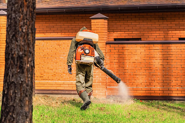 Trusted Ant Control service in Point Pleasant Beach, NJ - Nex Pest Control